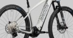 Radon Jealous Hybrid 10.0 – Bild 6