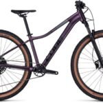 Cube Access WS SLX