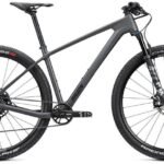 Radon Jealous 8.0