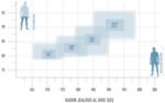 Radon Jealous AL 8.0 – Bild 2