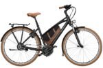 Riese und Müller Cruiser Mixte